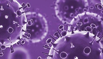 Introduction to Flu e-Learning image