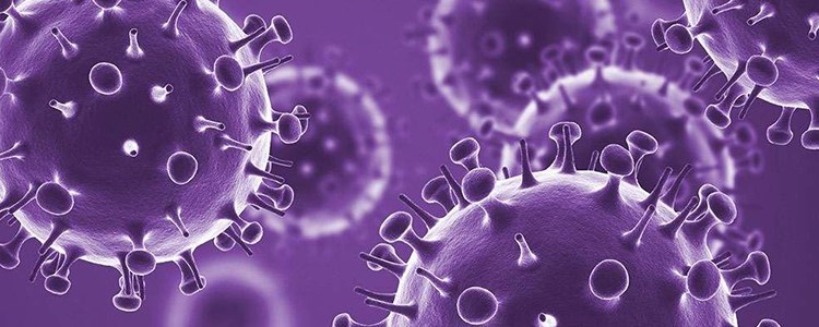 Introduction to Flu e-Learning image Introduction to Flu e-Learning