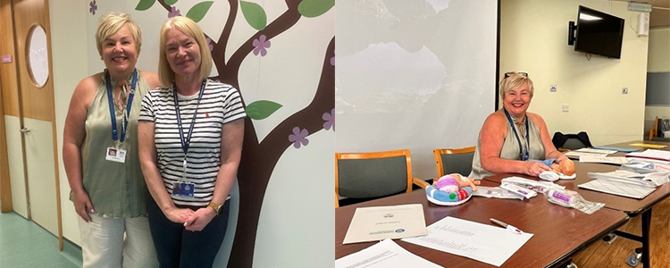 Scottish Multi-professional Maternity Development Programme supporting the State of Guernsey image Scottish Multi-professional Maternity Development Programme supporting the State of Guernsey