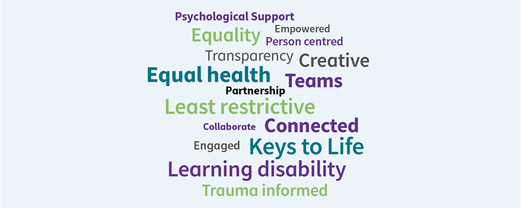 Delivering change for adults with learning disabilities image Delivering change for adults with learning disabilities