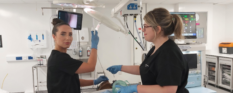 New training facility for NHS Scotland workforce image New training facility for NHS Scotland workforce