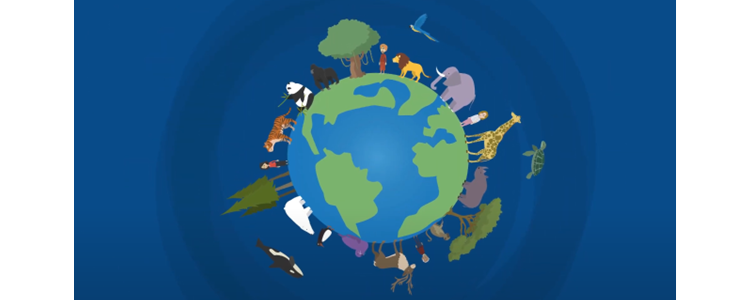 New environmental sustainability course launched image New environmental sustainability course launched