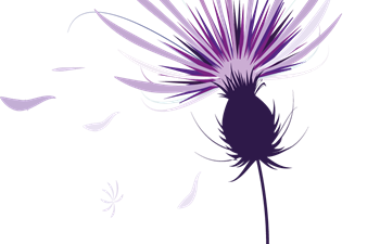 International Bereavement Education Conference 2024 - Bereavement in the modern world: Kindness in the chaos image International Bereavement Education Conference 2024 - Bereavement in the modern world: Kindness in the chaos