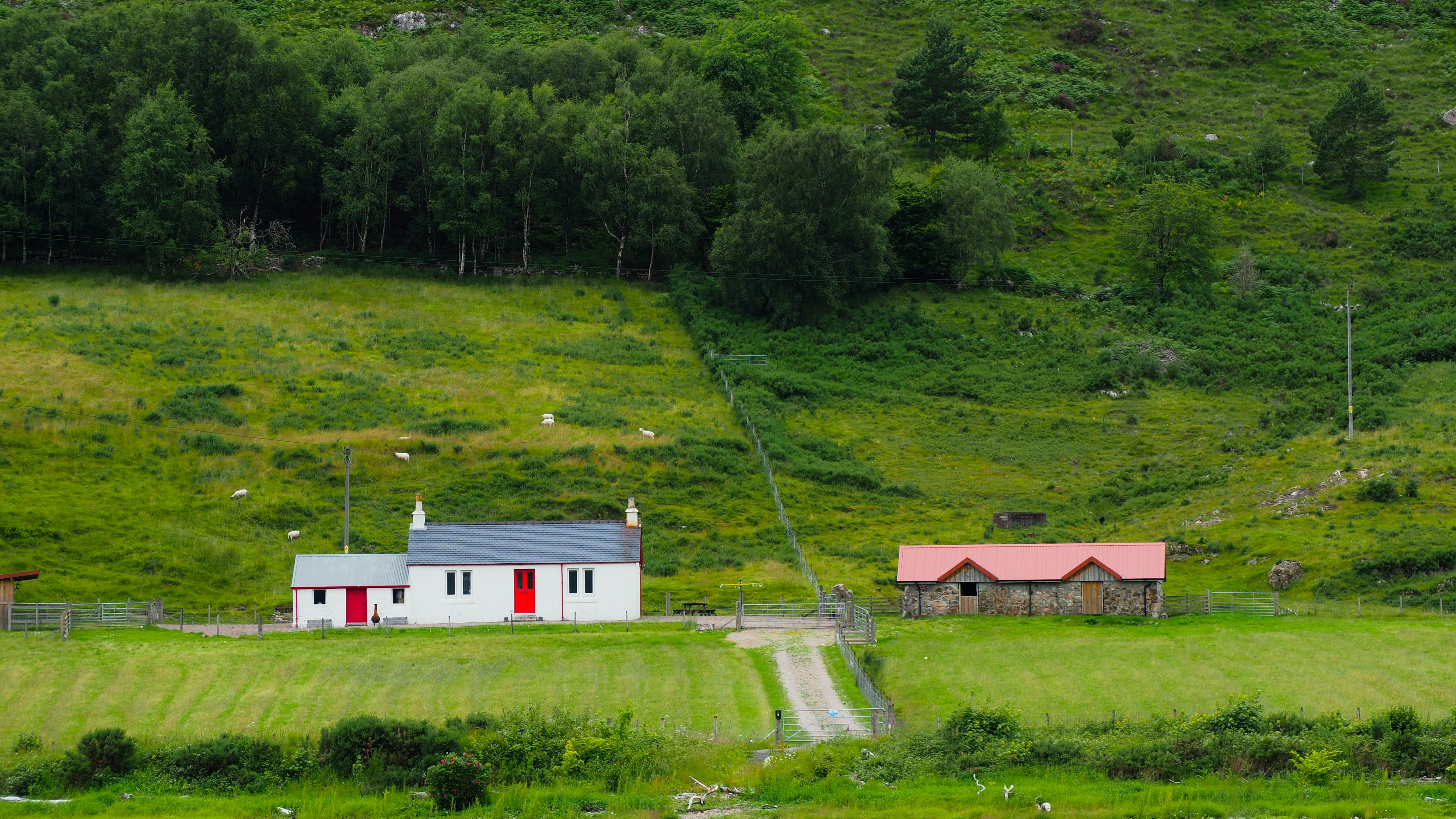 Help us improve support for rural and island employers