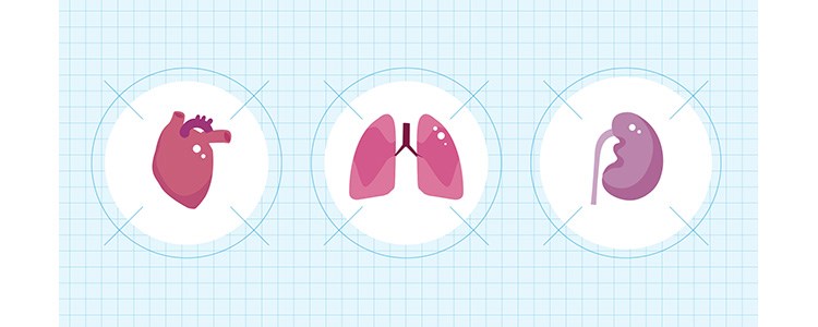 Human Tissue (Authorisation)(Scotland) Act 2019 image Human Tissue (Authorisation)(Scotland) Act 2019