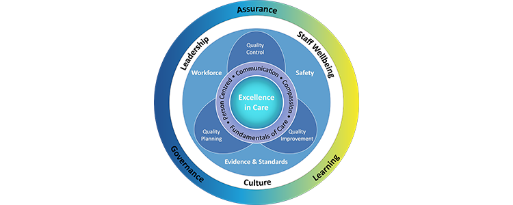 Leading Excellence in Care image Leading Excellence in Care