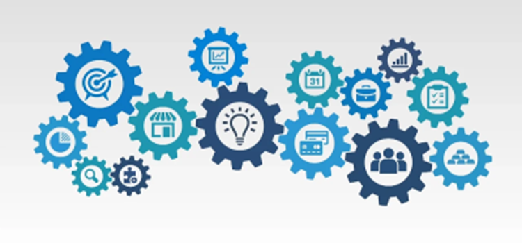 Nursing and midwifery practice educators image Decorative image