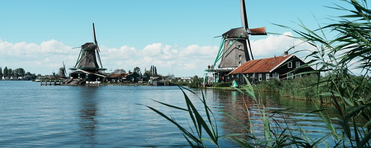 Global leadership in rural mental health: insights from the Netherlands image Global leadership in rural mental health: insights from the Netherlands