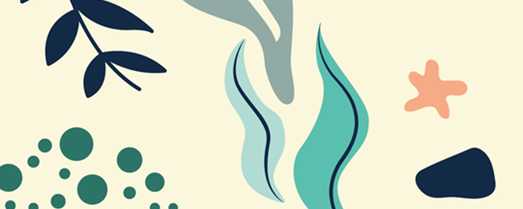 Statement on the Transgender Care Knowledge and Skills Framework image Statement on the Transgender Care Knowledge and Skills Framework