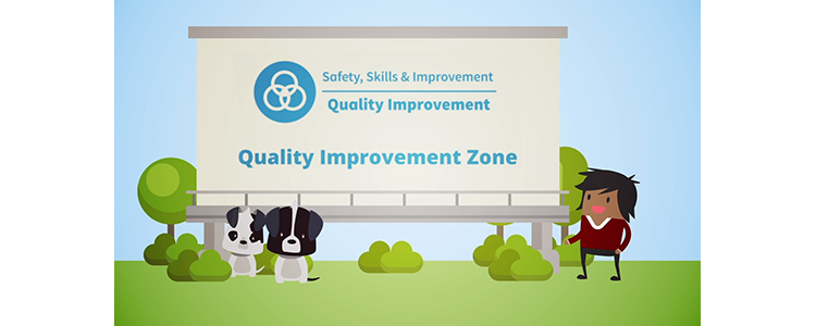A fun introduction to the basics of Quality Improvement (QI)