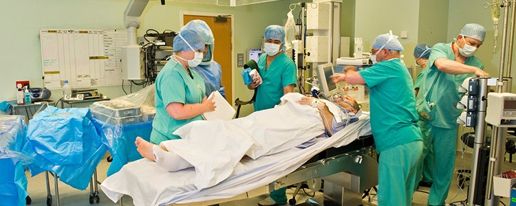 Medical Associate Professions commission image Medical Associate Professions commission