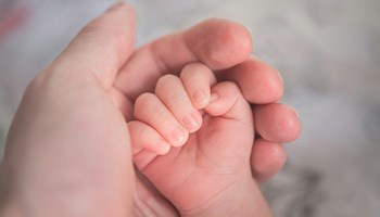 Neonatal learning sessions to continue in 2024 image